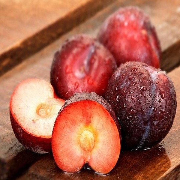 黄连杨梅猜成语_杨梅演员(2)