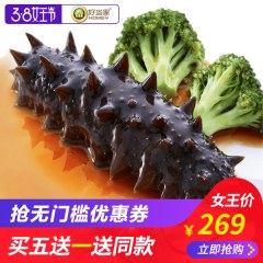 海参即食好当家深海底播有机刺参500g8-10头非海参干货礼盒旗舰店