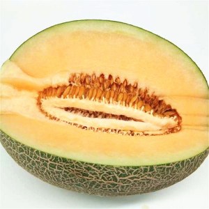 新疆哈密瓜品牌榜