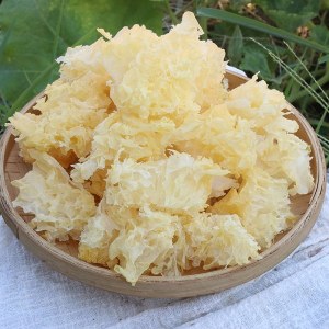 古田银耳品牌榜