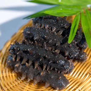 大连海刺参品牌榜