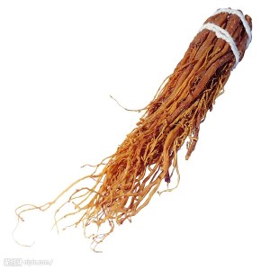 长白山红参品牌榜