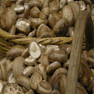 西峡香菇品牌榜