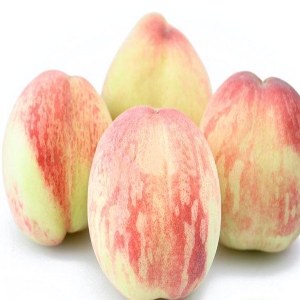 龙泉驿水蜜桃品牌榜