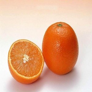 秭归脐橙品牌榜