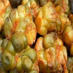 余姚榨菜品牌榜