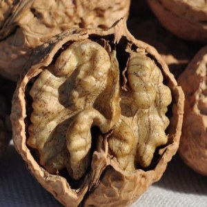 漾濞核桃品牌榜