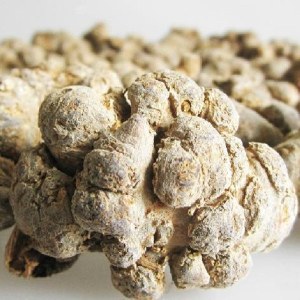 文山三七品牌榜