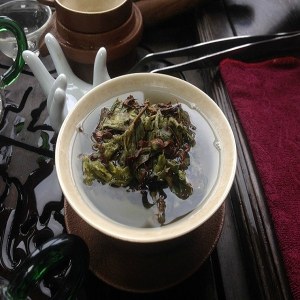 漳平水仙茶品牌榜