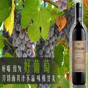 丹凤葡萄酒品牌榜