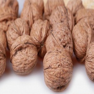 商洛核桃品牌榜