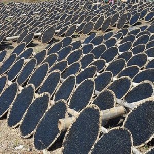 象山紫菜品牌榜