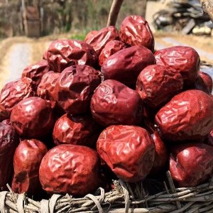 延安红枣品牌榜