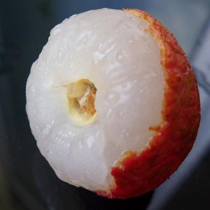 高州荔枝品牌榜