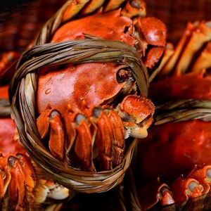 黄浦江大闸蟹品牌榜