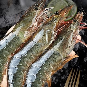 青岛大虾品牌榜