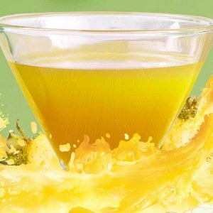 贵州刺梨汁品牌榜