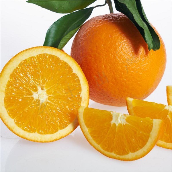 道县脐橙