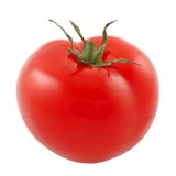 中垾番茄