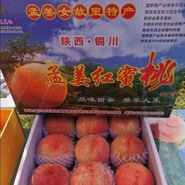 孟家原桃