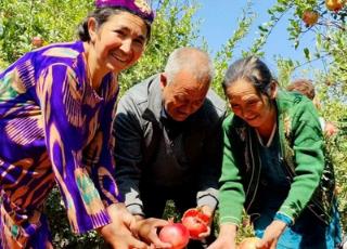 如何让新疆农民的腰包鼓起来呢