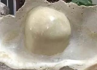 海南贝壳玉石叫什么？