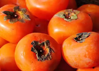 密石红柿——又是一年柿正红