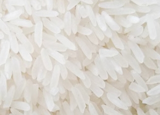 4000多年的马坝油粘米是如何得以延续