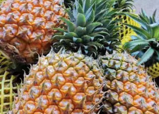 菠萝与凤梨有什么异同？