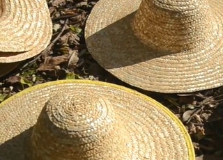 厄瓜多尔产的草帽为什么叫巴拿马草帽