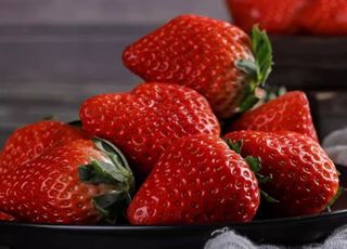 北京昌平草莓带动产值破4亿