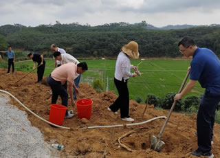 宝圩镇：荔枝品种改良增绿美，百千万工程添助力