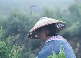 春潮涌动处 武陵山间奏响乡村振兴协奏曲