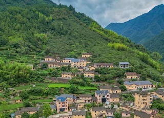 遂昌深挖“土特产”价值，奏响乡村振兴富民曲