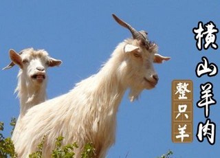 横山羊肉质量技术要求