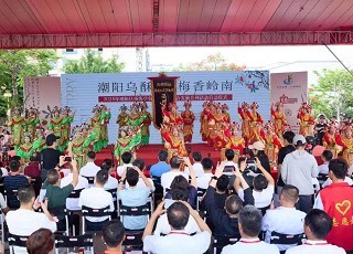 潮阳杨梅：从“地方特产”到“国字号”名片