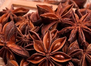 上林八角的历史与现状分析