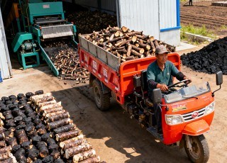 长白腹地“菌”香溢，黄松甸镇谱新篇