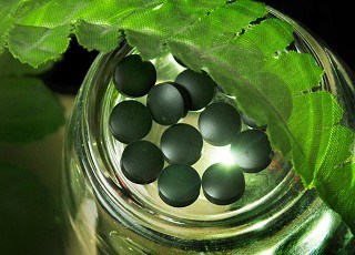 鄂托克螺旋藻质量技术