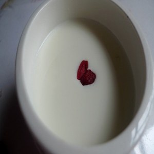 姜汁撞奶品牌榜