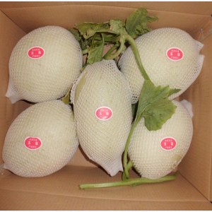玉菇甜瓜品牌榜