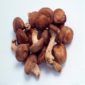 香菇品牌榜