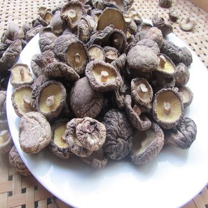 食用菌品牌榜