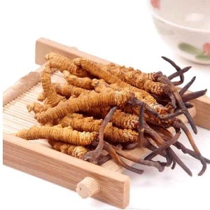 冬虫夏草品牌榜