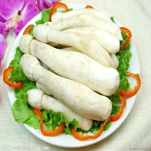 鸡腿菇品牌榜
