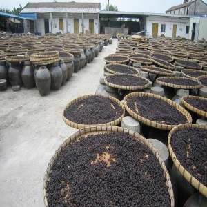 阳江豆豉品牌榜