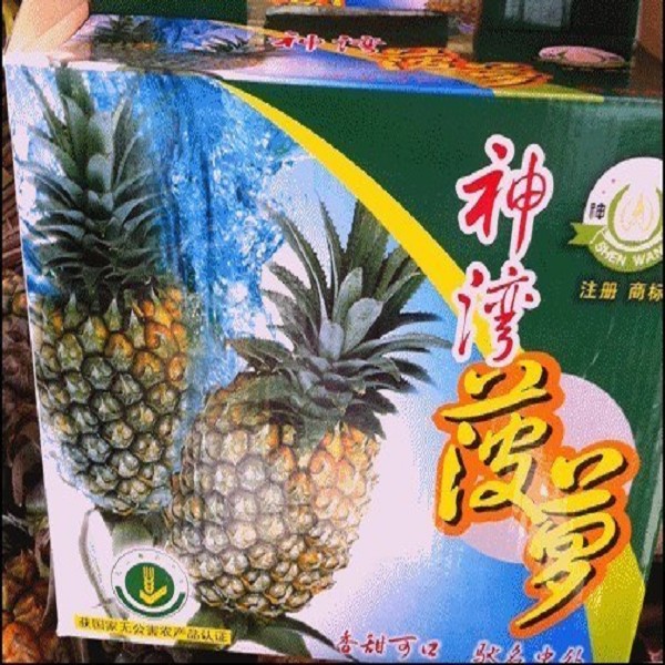 菠萝