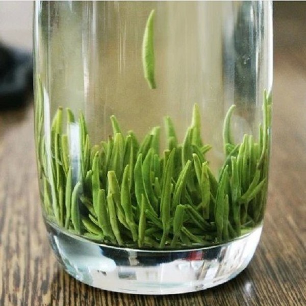 镇江金山翠芽茶叶