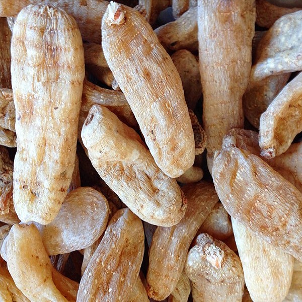 佛坪土蜂蜜详细介绍: - 陕西汉中佛坪特产 - 特色谷