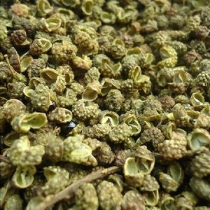青花椒品牌榜